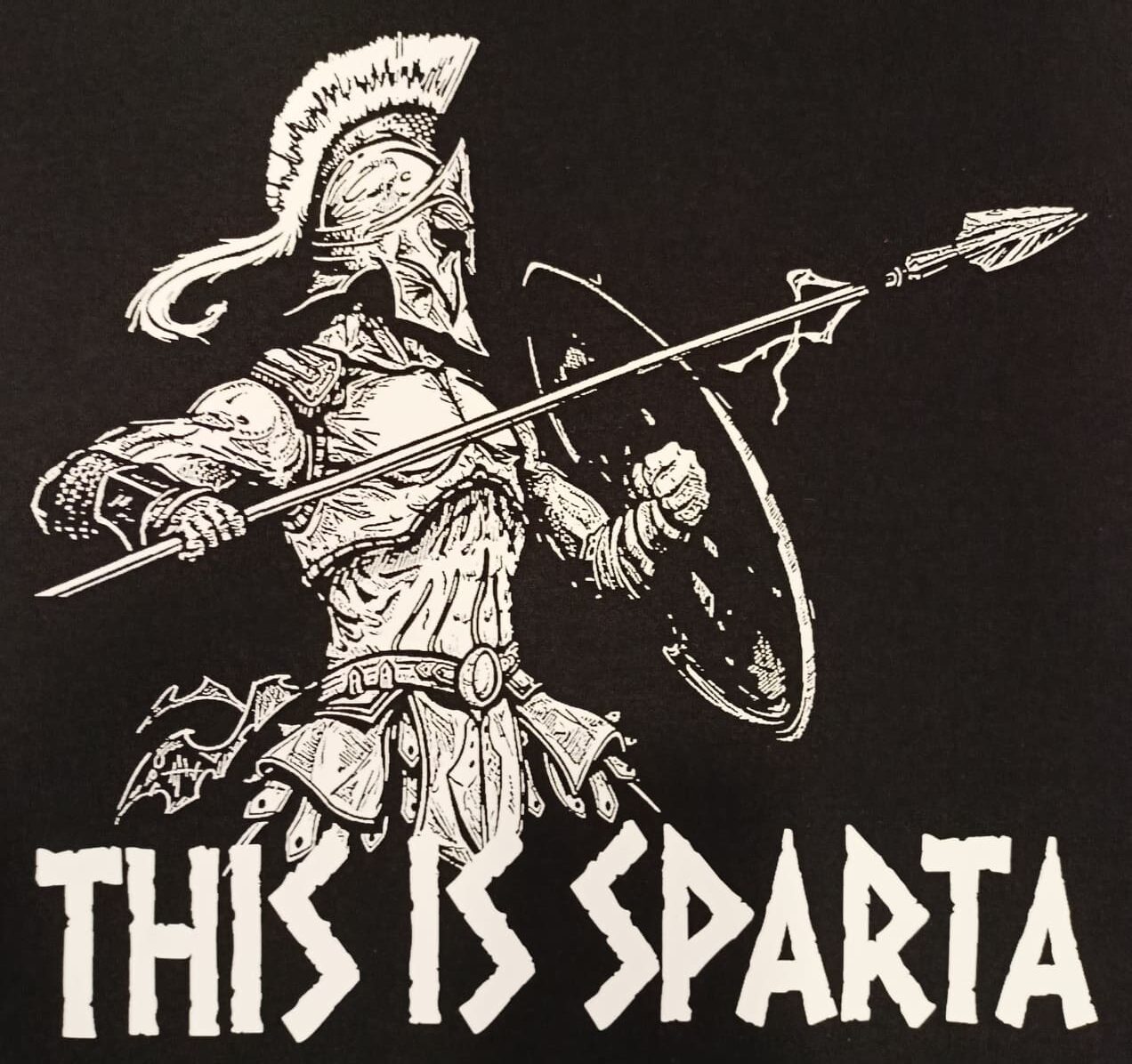 P.S. This is Sparta by The-Shmooze on DeviantArt